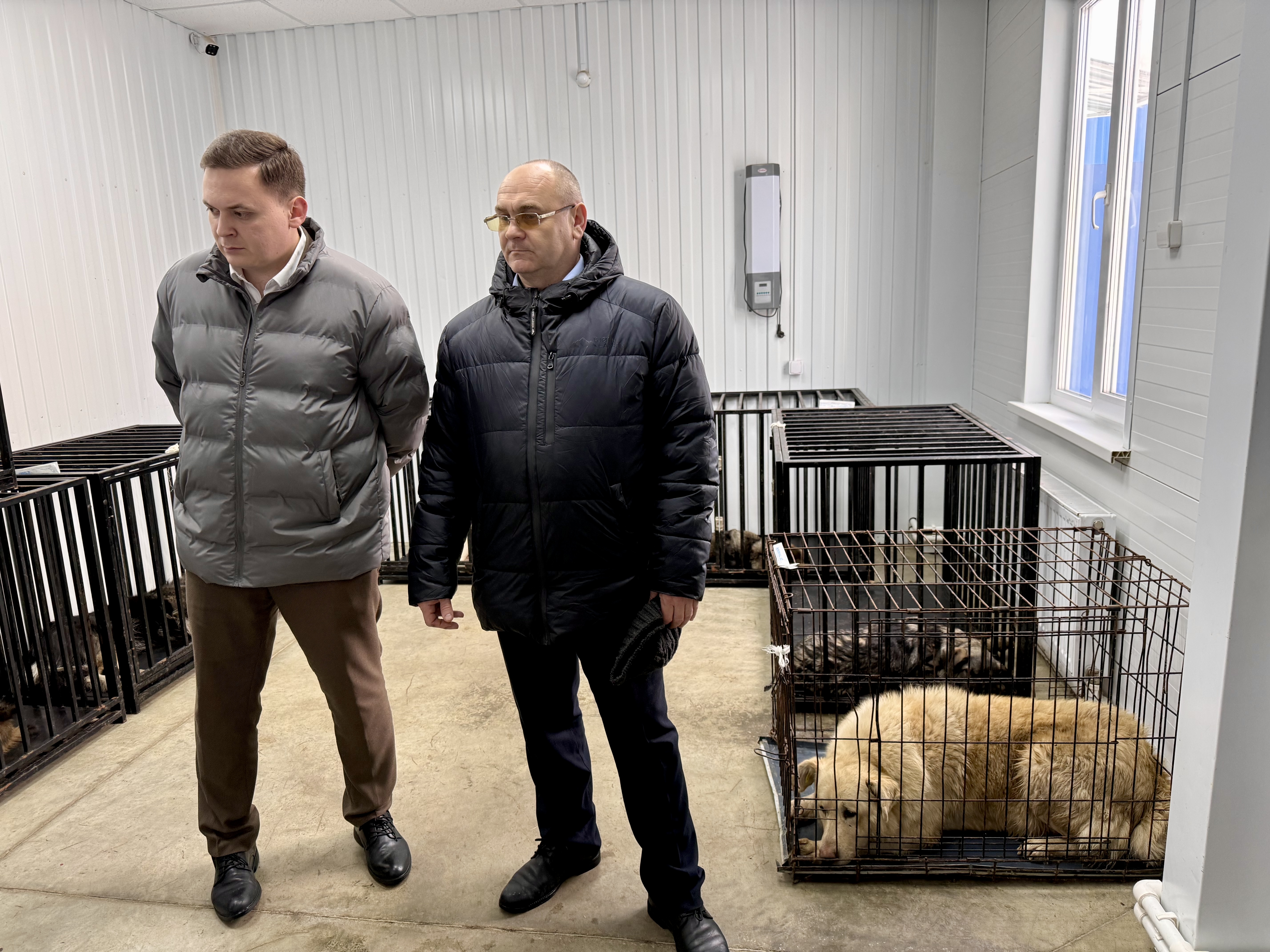 Владислав Уланов проверил исполнение закона об ответственном обращении с животными