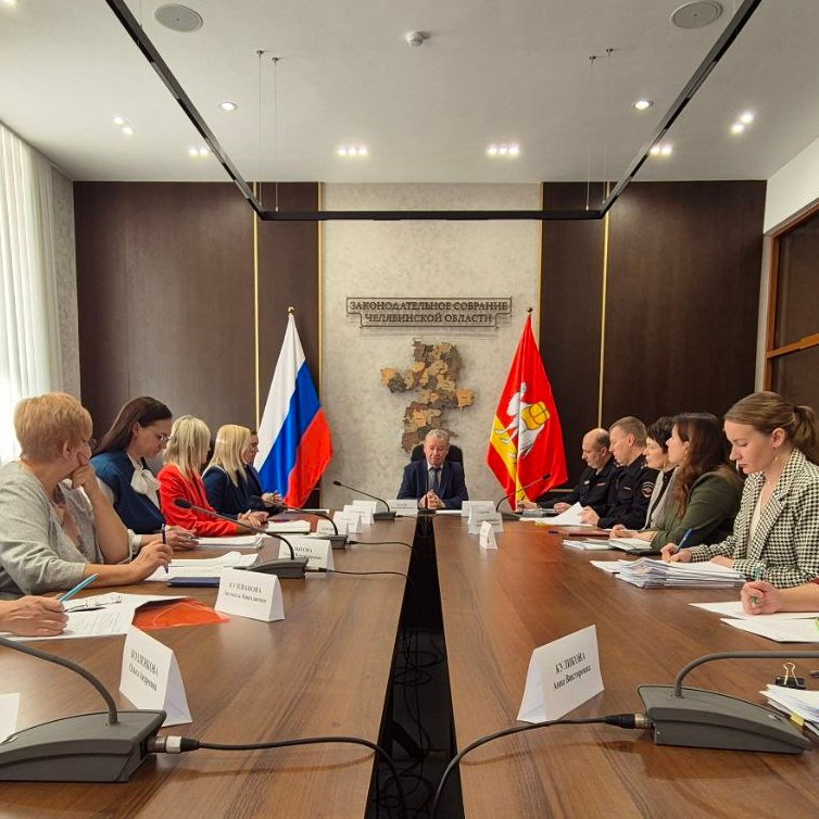 На временной комиссии в Законодательном Собрании обсудили законопроект об ответственности в сфере использования электросамокатов