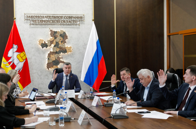 Комитет по экономической политике и предпринимательству рассмотрел отчет о работе правительства Челябинской области в 2024 году
