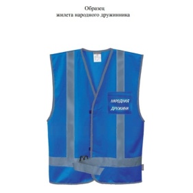 Комитет Законодательного Собрания по законодательству одобрил поправки, предусматривающие оснащение народных дружинников единообразной форменной одеждой – синими жилетами