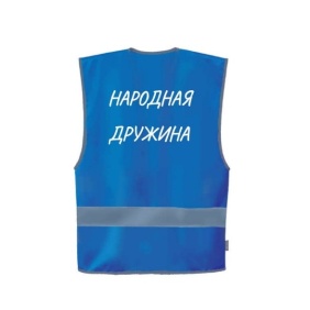 Комитет Законодательного Собрания по законодательству одобрил поправки, предусматривающие оснащение народных дружинников единообразной форменной одеждой – синими жилетами