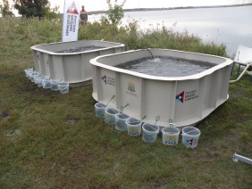 Председатель комитета Законодательного Собрания по экологии и природопользованию Михаил Махов принял участие в экологических акциях по реабилитации водных объектов