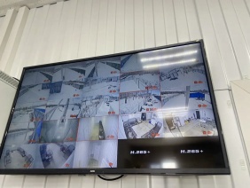 Владислав Уланов проверил исполнение закона об ответственном обращении с животными