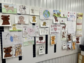 Владислав Уланов проверил исполнение закона об ответственном обращении с животными