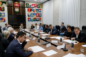 Заседание комитета Законодательного Собрания по молодежной политике, культуре и спорту