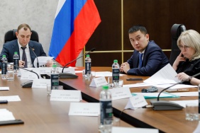 Заседание комитета Законодательного Собрания по молодежной политике, культуре и спорту