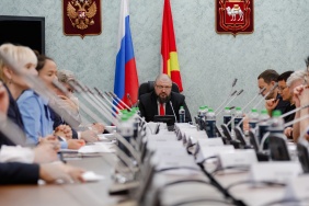 Заседание комитета по социальной политике