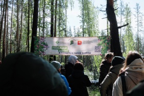 В Челябинском городском бору высадили саженцы сосны
