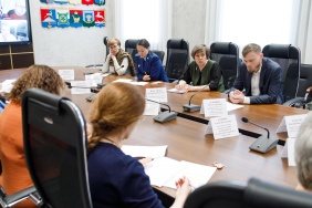 Заседание рабочей группы по проекту закона Челябинской области «О дополнительных ограничениях продажи безалкогольных тонизирующих напитков…»