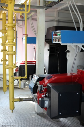 Фото: Юлия Боровикова