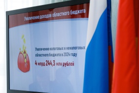 Заседание комитета Законодательного Собрания по бюджету и налогам 29 октября 2024 г.