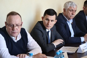 Заседание комитета по законодательству, государственному строительству и местному самоуправлению