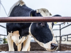 Фото: Юлия Боровикова