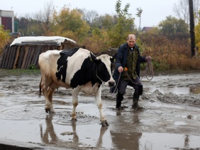 Фото: Юлия Боровикова