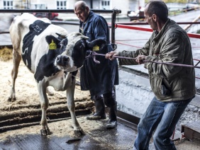 Фото: Юлия Боровикова