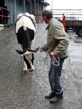 Фото: Юлия Боровикова