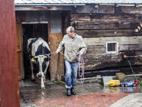 Фото: Юлия Боровикова